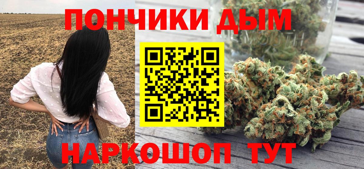 A PVP Кольчугино